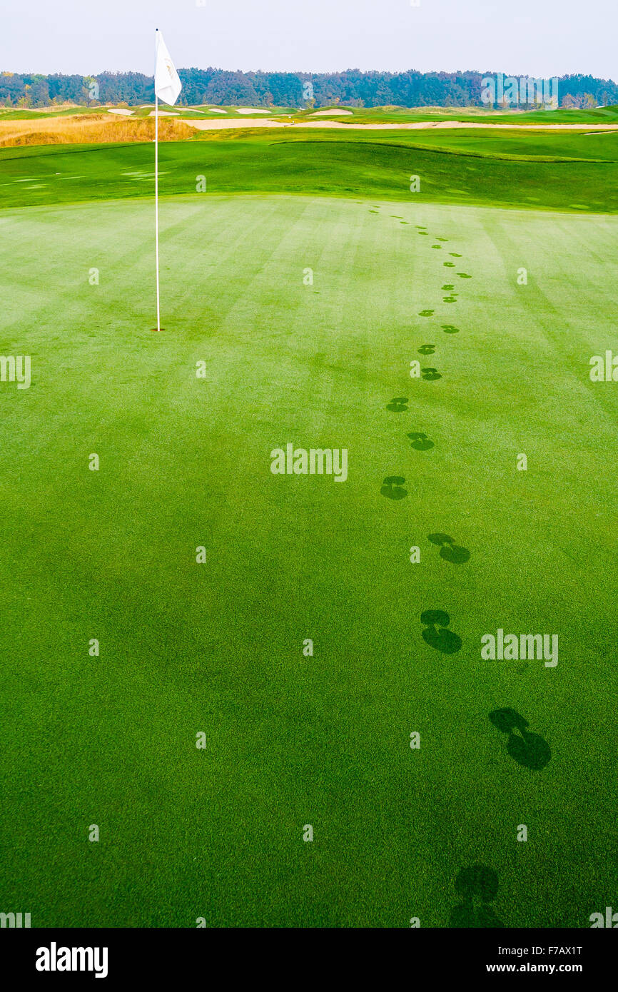 footprints on golf grass in dew near flag at morning Stock Photo Alamy