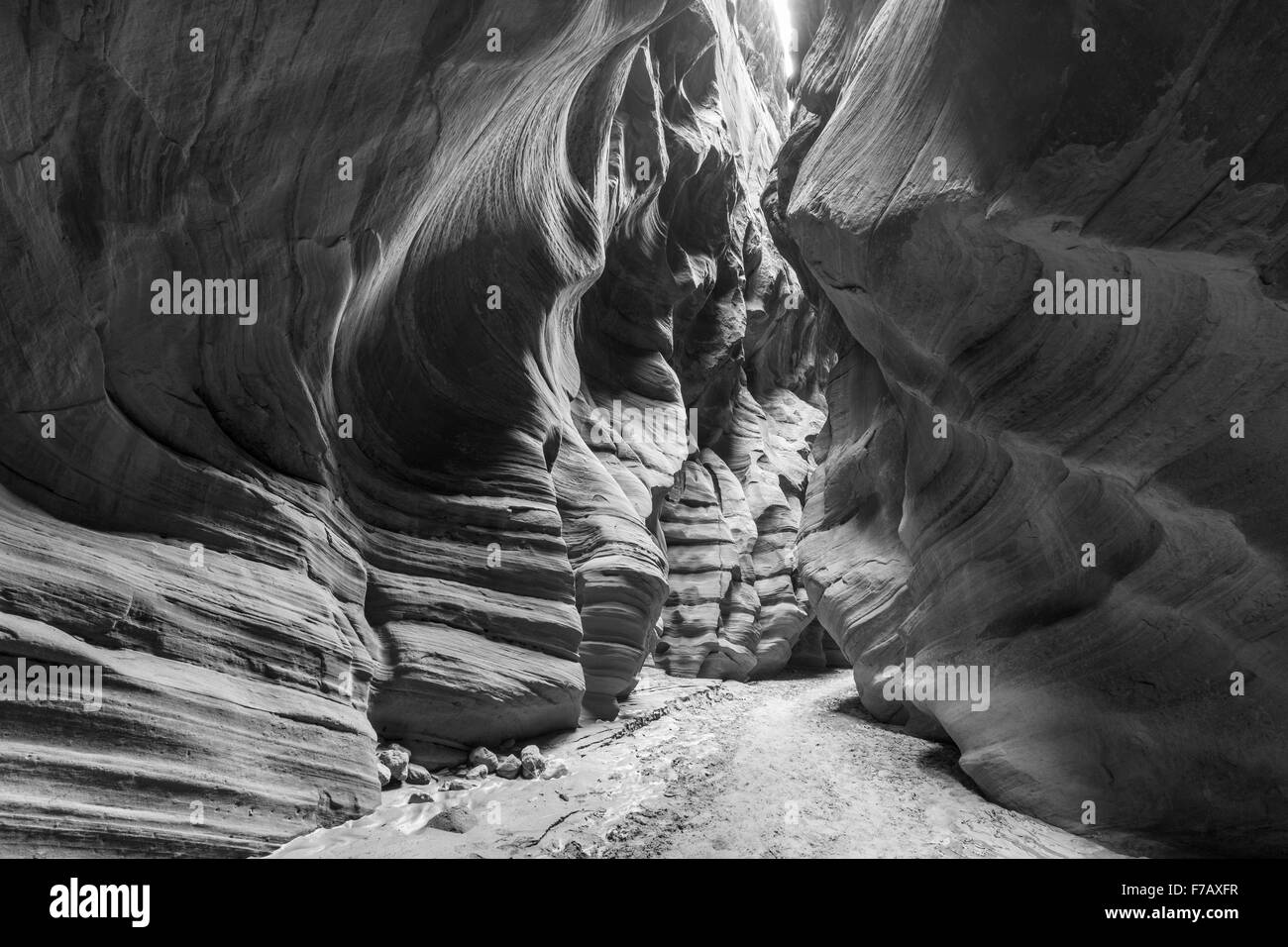 Narrow Wilderness Slot Canyon inside Buckskin Gorge in black and white. Stock Photo