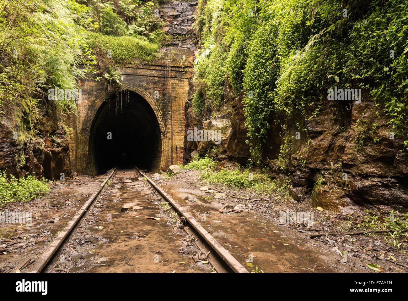 Old Train tunnel Stock Photo, Royalty Free Image: 90595169 - Alamy