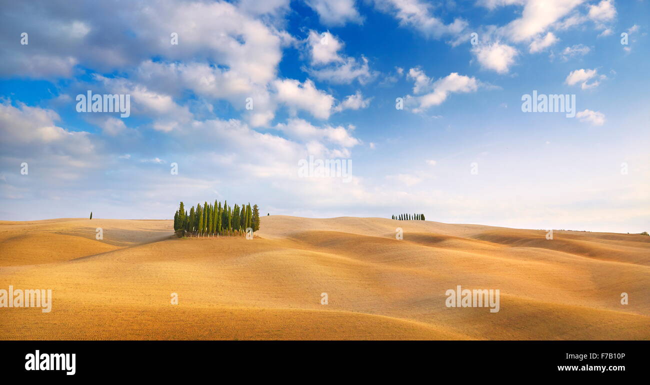 Cypress trees landscape, Val d'Orcia, Tuscany, Italy Stock Photo