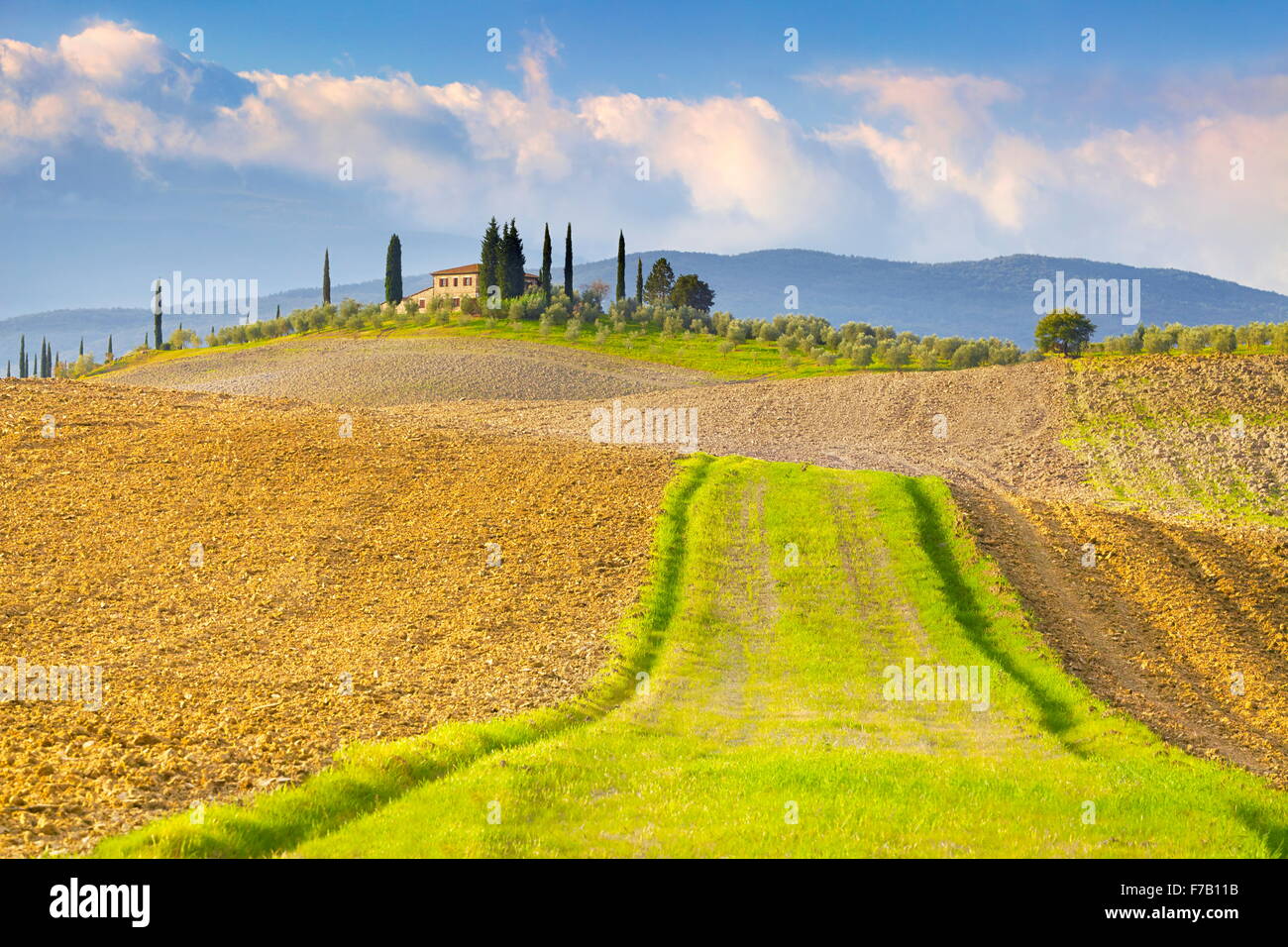 Tuscany landscape, Val d'Orcia, Italy Stock Photo