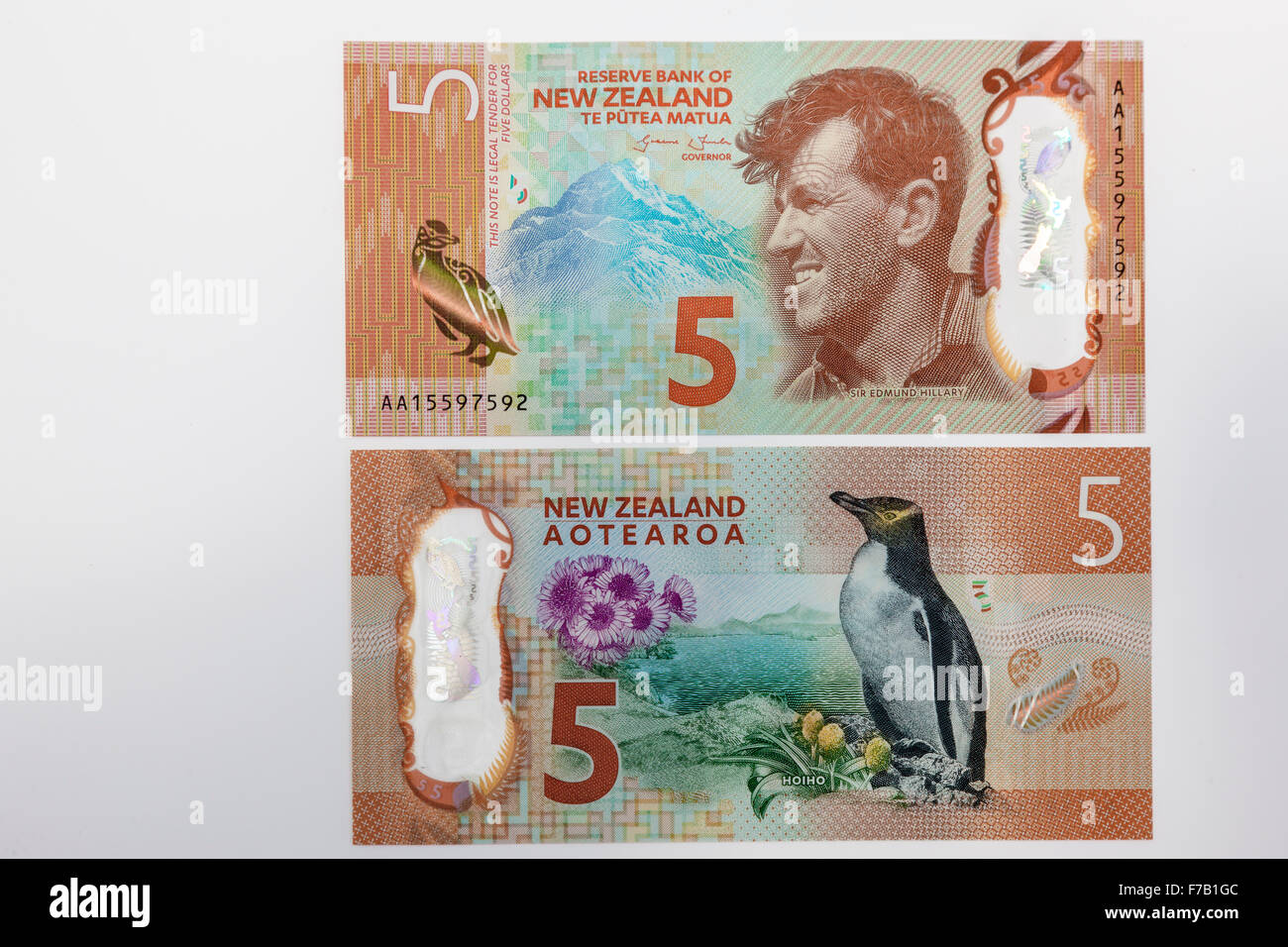 New updated five dollar, 5 Kiwi, New Zealand polymer bank notes NZD Stock Photo Alamy