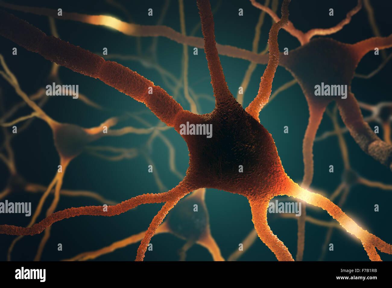 Image concept of neurons interconnected in a complex brain network. Stock Photo