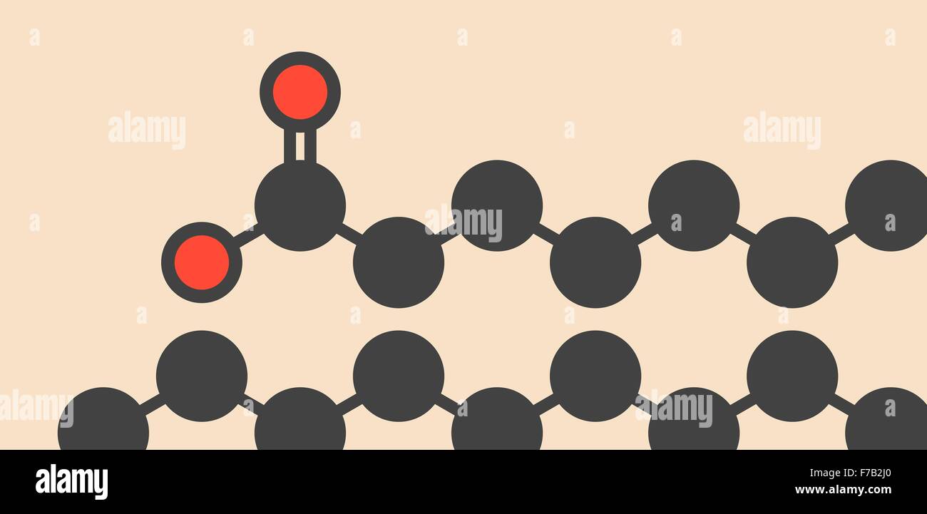 Stearic acid saturated fatty acid molecule. Also known as octadecanoic