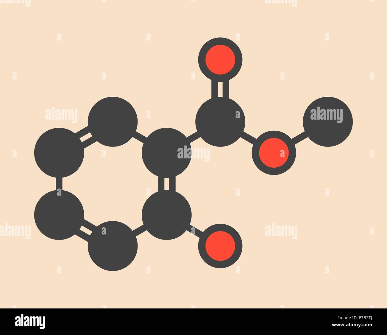 Methyl salicylate (wintergreen oil) molecule. Acts as rubefacient. Used ...