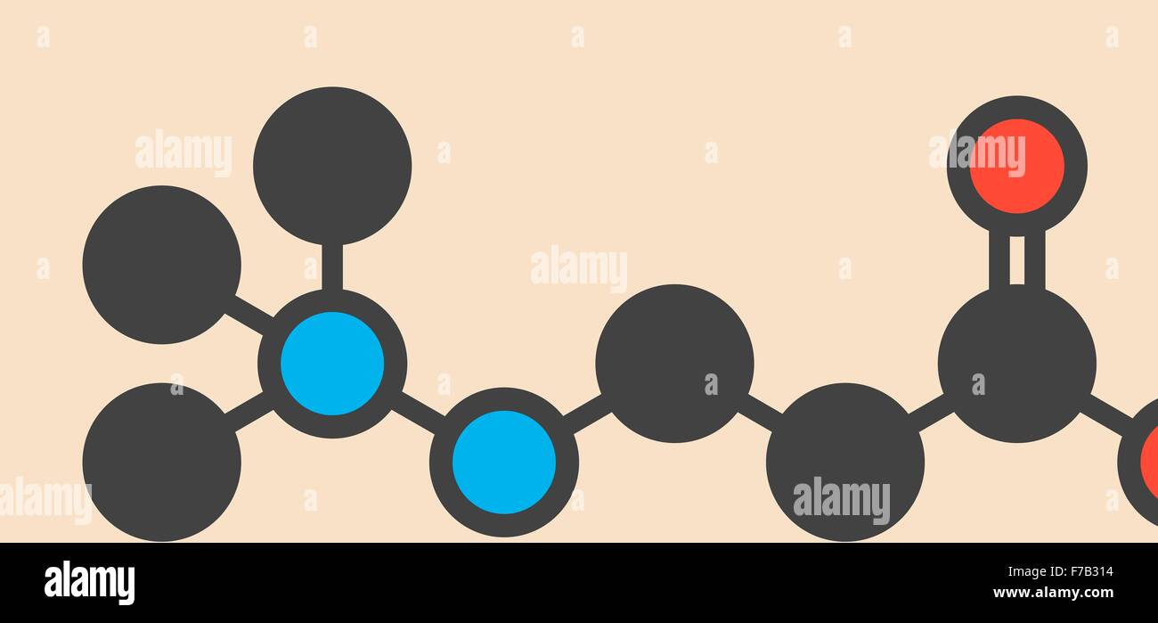 Meldonium antiischemic drug molecule. Used in treatment of angina and