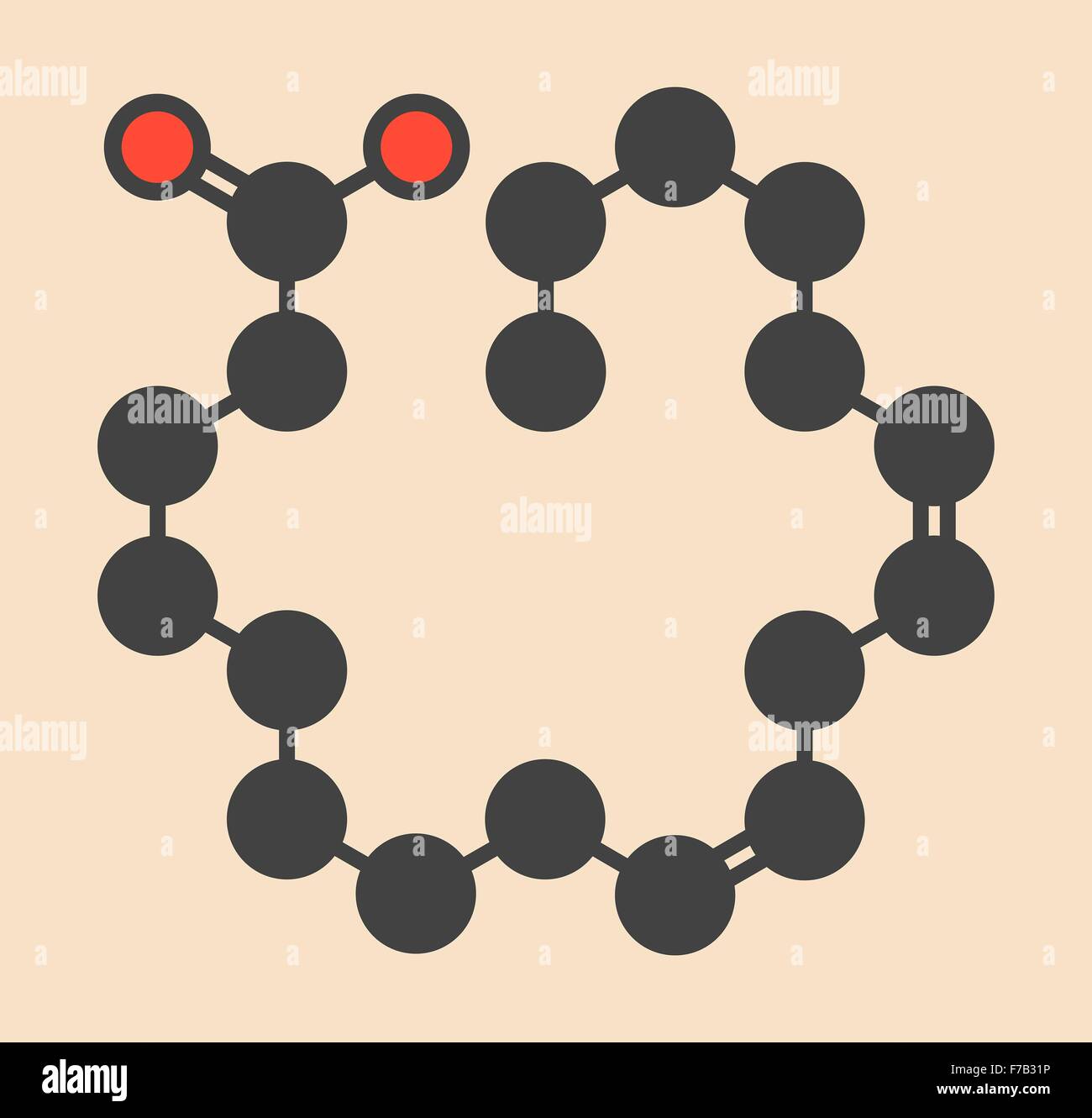 Linoleic acid (LA) molecule. Omega6 polynsaturated fatty acid