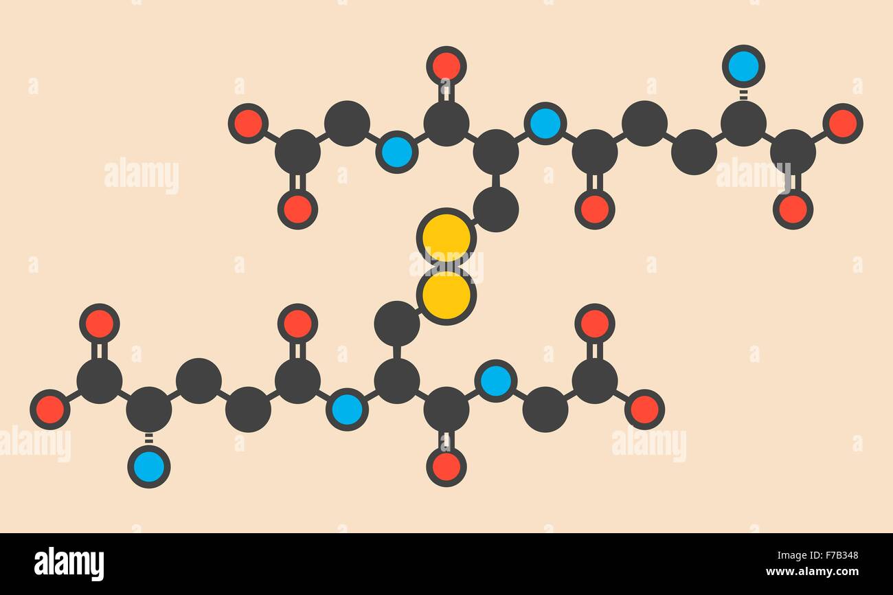 Glutathione (oxidized glutathione, GSSG) molecule. Stylized skeletal formula  (chemical structure). Atoms are shown as Stock Photo