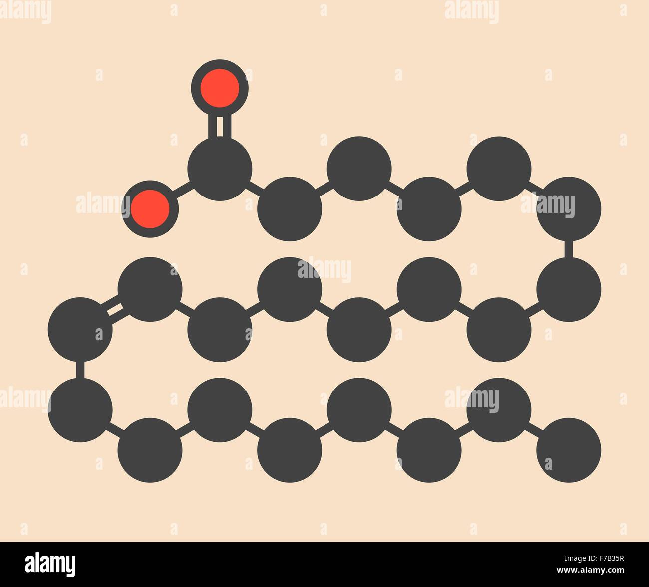 Monounsaturated fatty acid hires stock photography and images Alamy