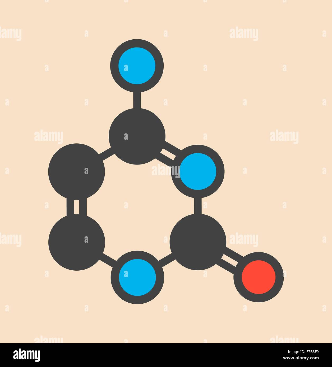 Cytosine pyrimidine nucleobase component. One of the bases found in DNA