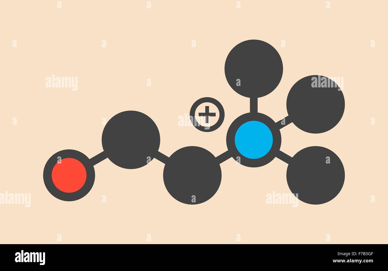 Choline essential nutrient molecule. Stylized skeletal formula
