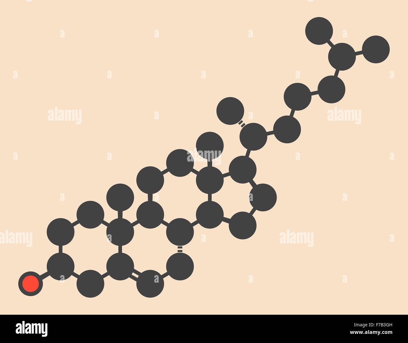 Cholesterol molecule. Essential component of cell membranes and