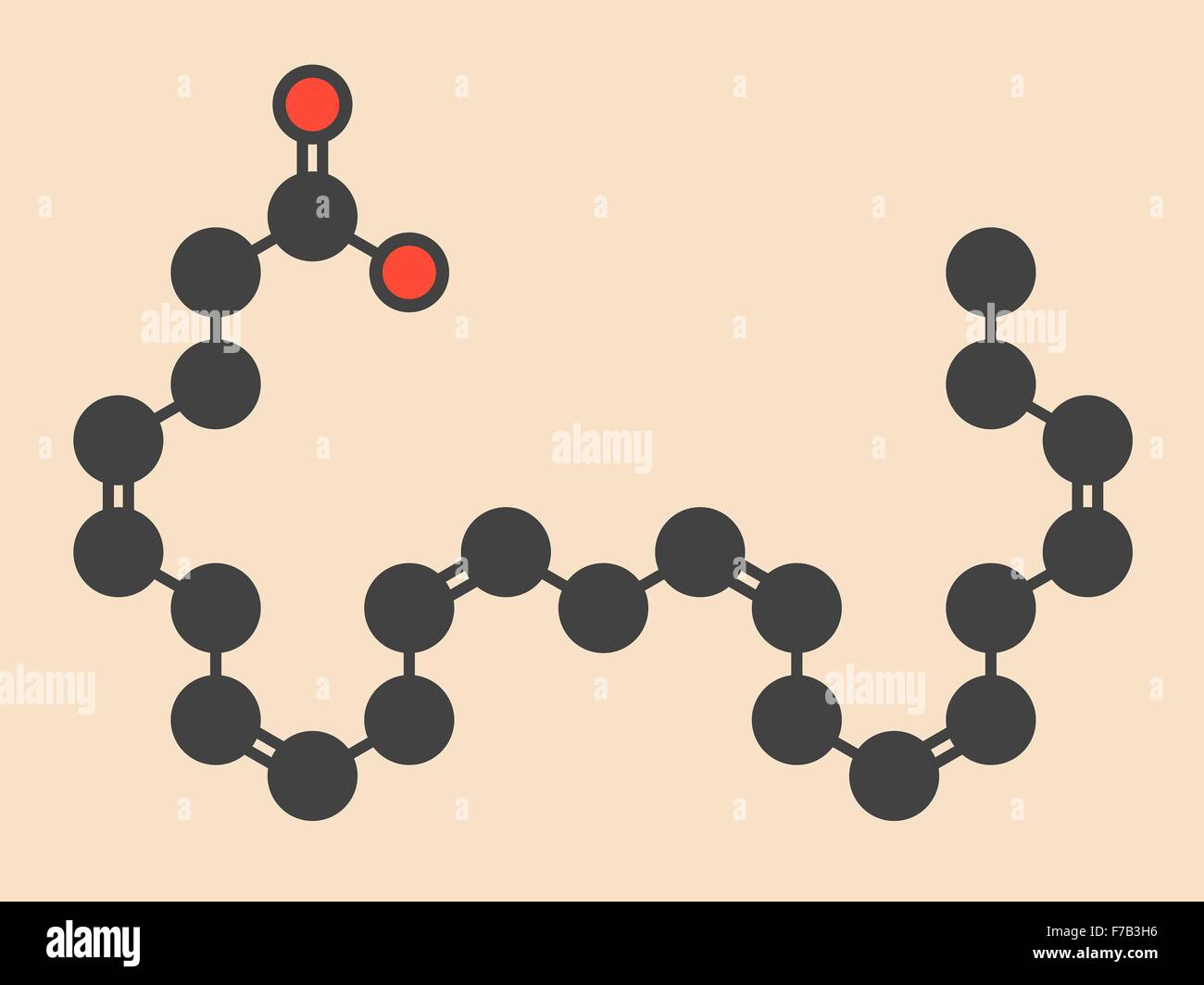 Docosahexaenoic acid (DHA, cervonic acid) molecule. Polyunsaturated