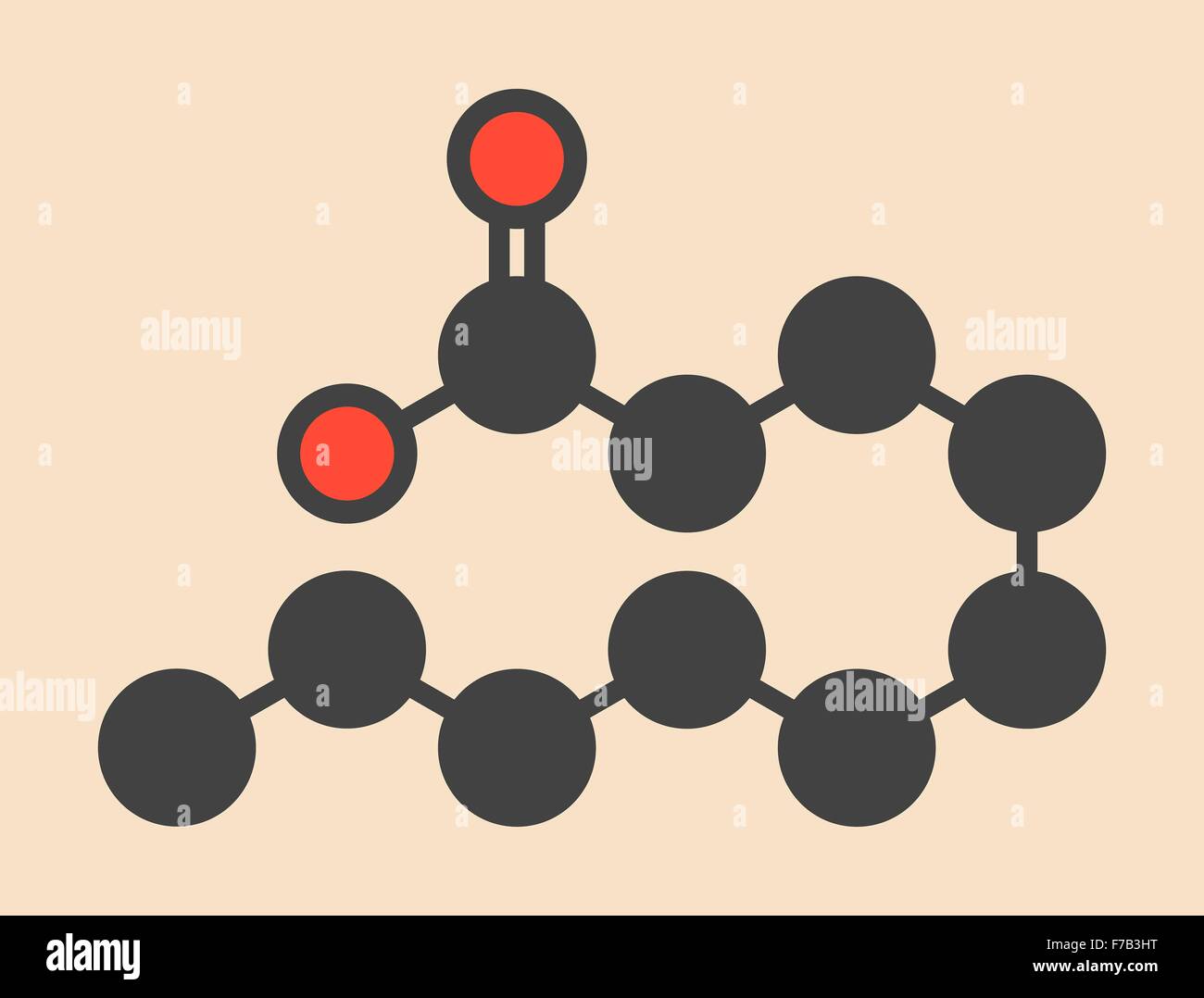 Capric (decanoic) acid molecule. Common saturated fatty acid. Stylized