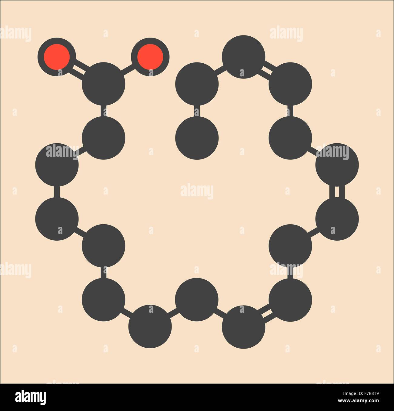 Alphalinolenic acid (ALA) molecule. Essential polyunsaturated omega3 fatty acid, present in
