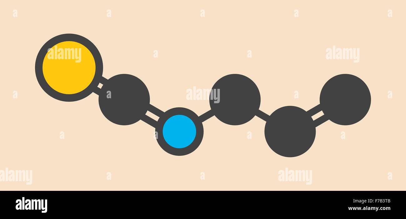 Allyl mustard oil hires stock photography and images Alamy