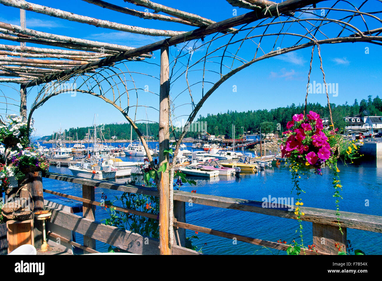 Lund, BC, British Columbia, Canada Boats in Marina, Sunshine Coast