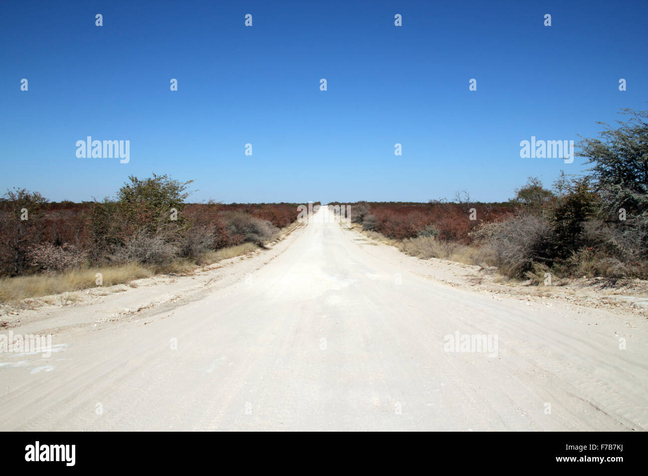 Sand Road Between Maun And Khwai River Botswana Stock Photo Alamy