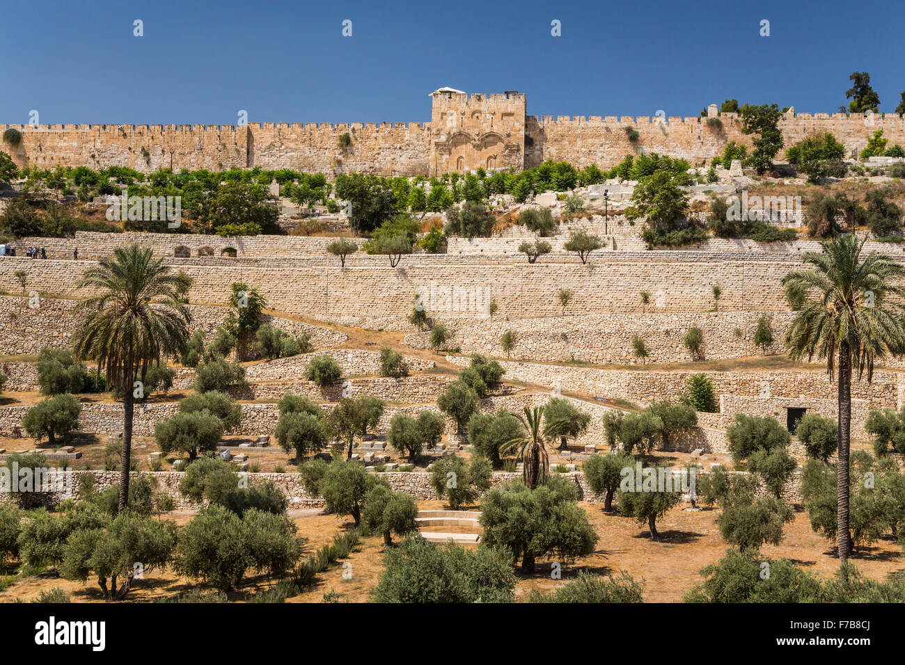 A veiw of the city walls and Eastern Gate of Jerusalem from the Mount