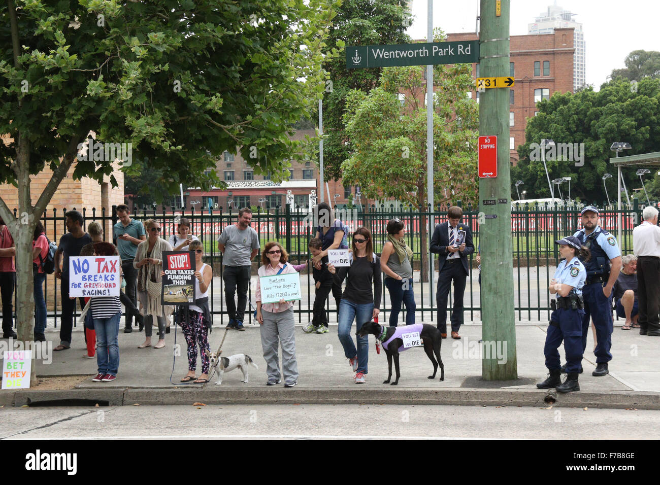 Sydney, Australia. 28 November 2015. Protesters gathered outside Wentworth Park Greyhound Track at the corner of Wentworth Park Road and St Johns Rd in Ultimo to protest against cruelty and against taxpayers money funding the greyhound industry. Credit:  Richard Milnes/Alamy Live News Stock Photo