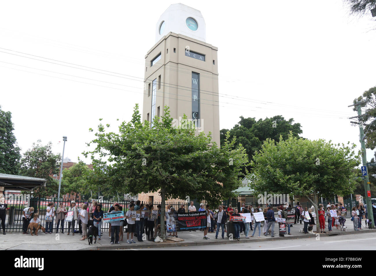 Sydney, Australia. 28 November 2015. Protesters gathered outside Wentworth Park Greyhound Track at the corner of Wentworth Park Road and St Johns Rd in Ultimo to protest against cruelty and against taxpayers money funding the greyhound industry. Credit:  Richard Milnes/Alamy Live News Stock Photo