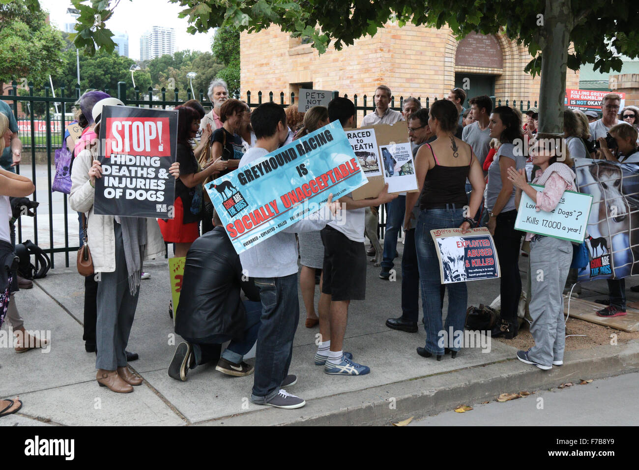 Sydney, Australia. 28 November 2015. Protesters gathered outside Wentworth Park Greyhound Track at the corner of Wentworth Park Road and St Johns Rd in Ultimo to protest against cruelty and against taxpayers money funding the greyhound industry. Credit:  Richard Milnes/Alamy Live News Stock Photo