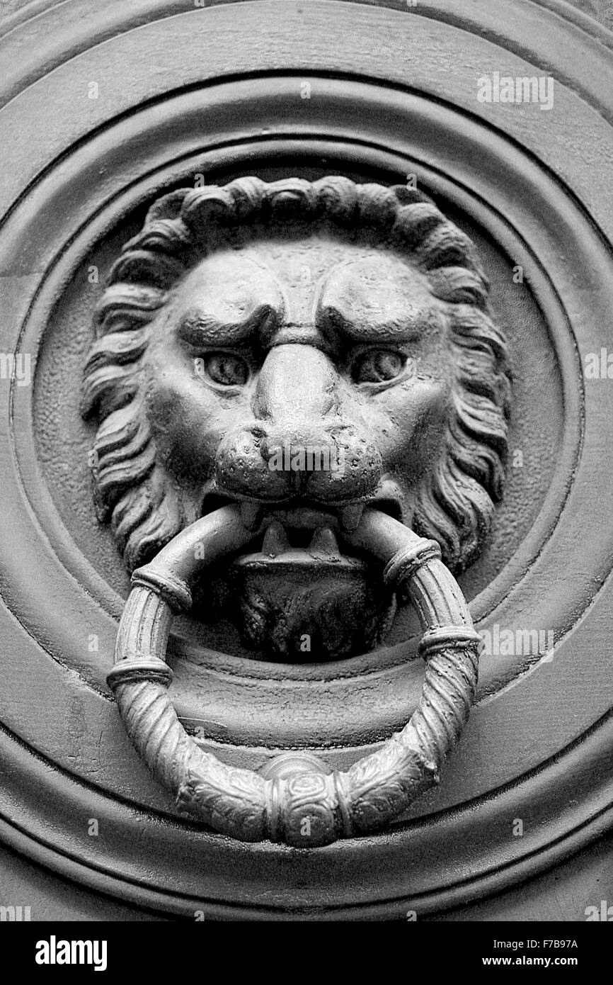 Lion Doorknob Stock Photo