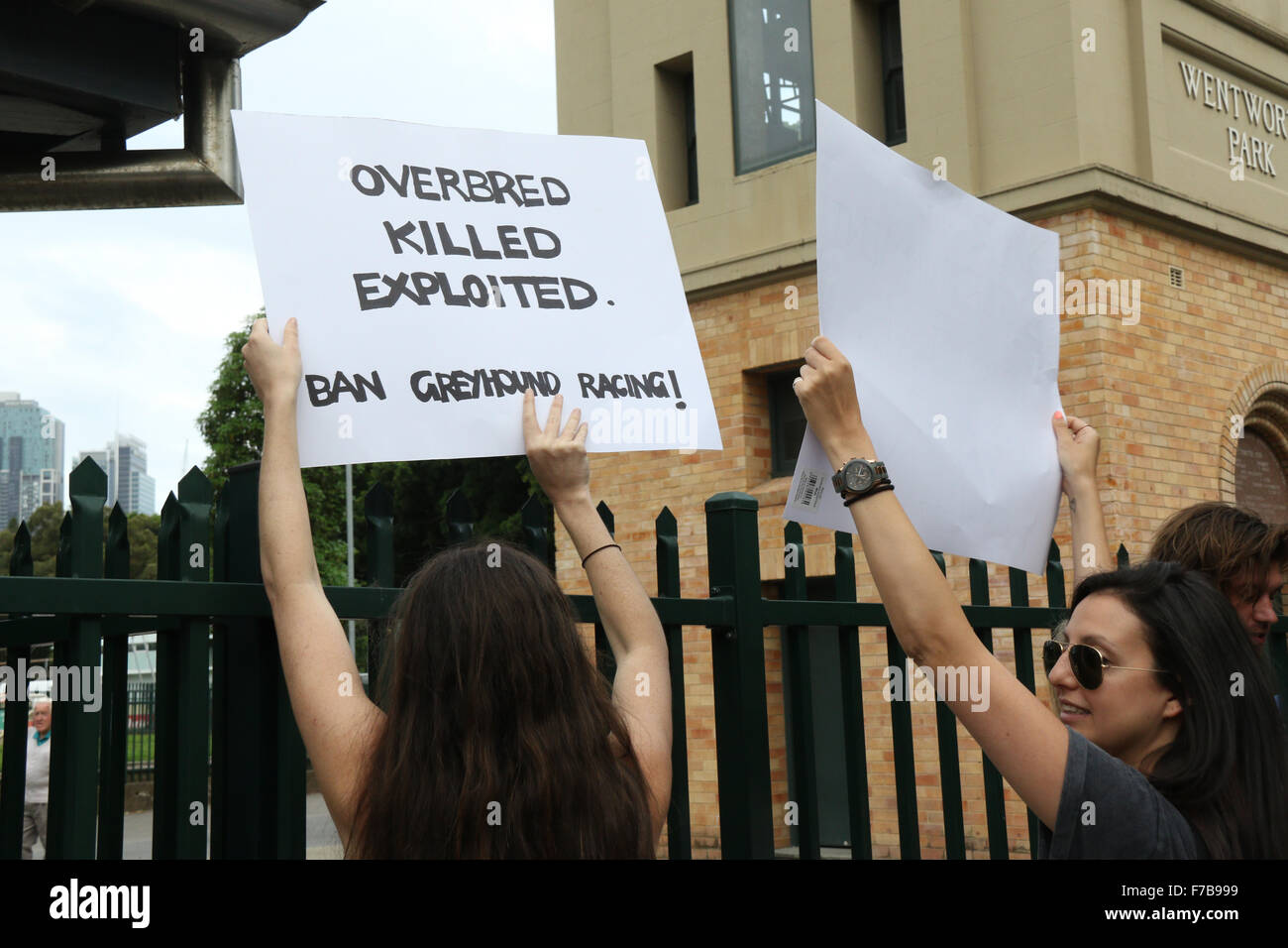 Sydney, Australia. 28 November 2015. Protesters gathered outside Wentworth Park Greyhound Track at the corner of Wentworth Park Road and St Johns Rd in Ultimo to protest against cruelty and against taxpayers money funding the greyhound industry. Credit:  Richard Milnes/Alamy Live News Stock Photo