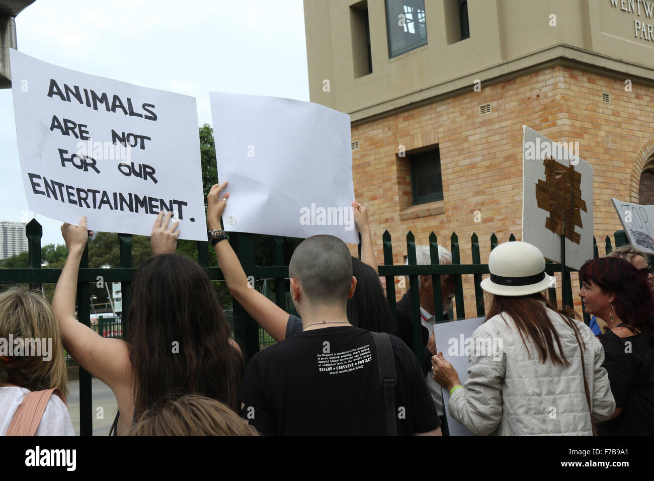 Sydney, Australia. 28 November 2015. Protesters gathered outside Wentworth Park Greyhound Track at the corner of Wentworth Park Road and St Johns Rd in Ultimo to protest against cruelty and against taxpayers money funding the greyhound industry. Credit:  Richard Milnes/Alamy Live News Stock Photo