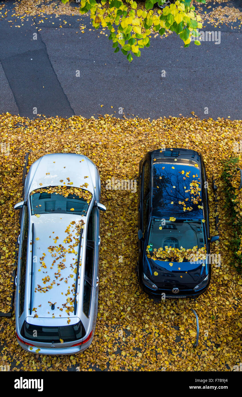 Cars in parking bays, covered with fall foliage, Stock Photo