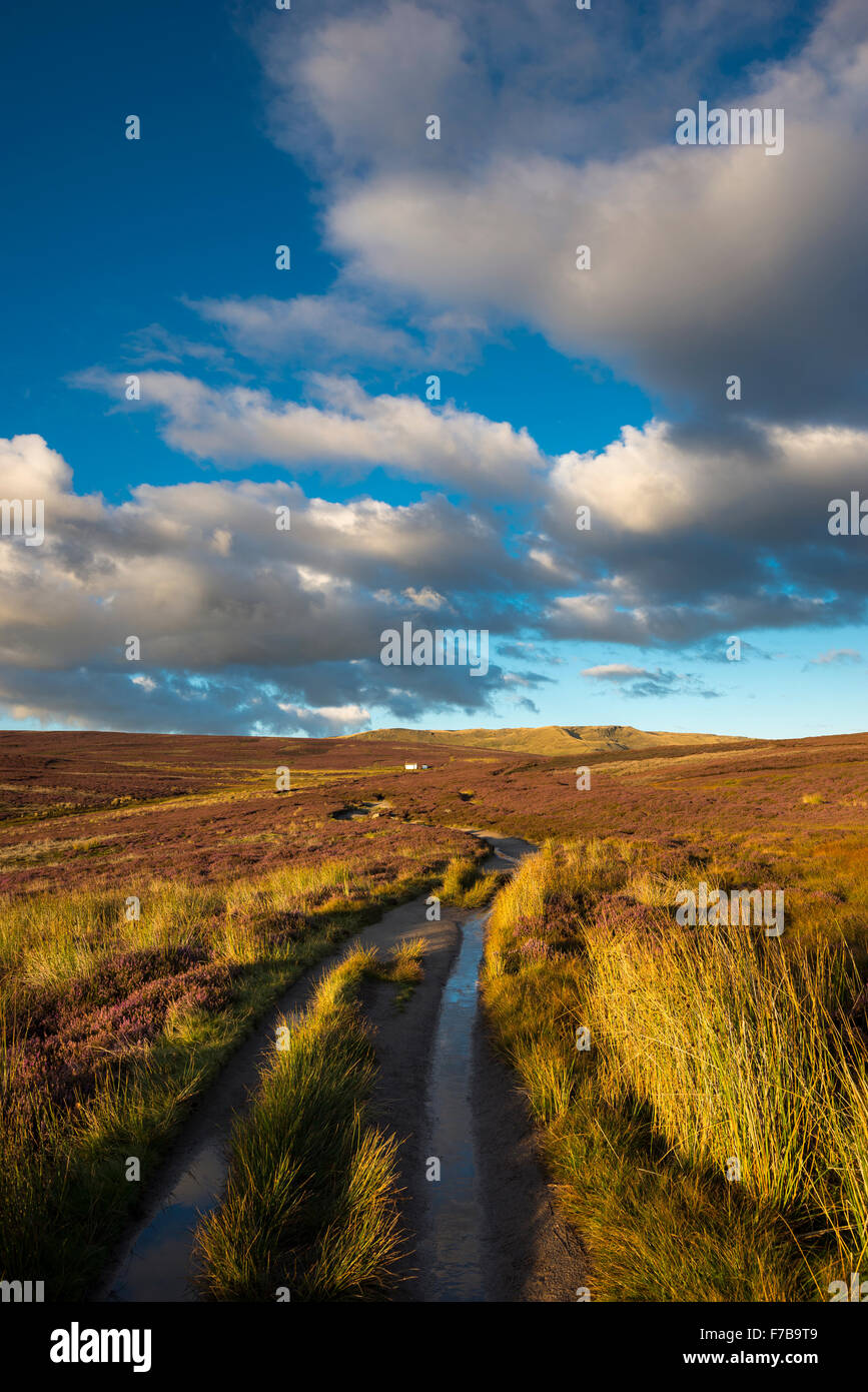 Footpath on the moors above Hayfield in the Peak District on a beautiful summer evening. Stock Photo