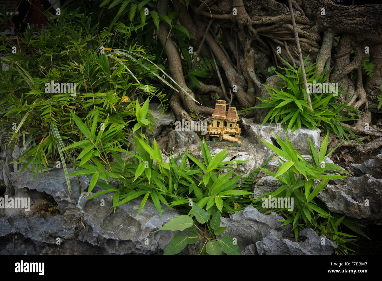 Hanoi, Vietnam: Temple of Literature, bonsai miniature landscapes in the courtyard Stock Photo