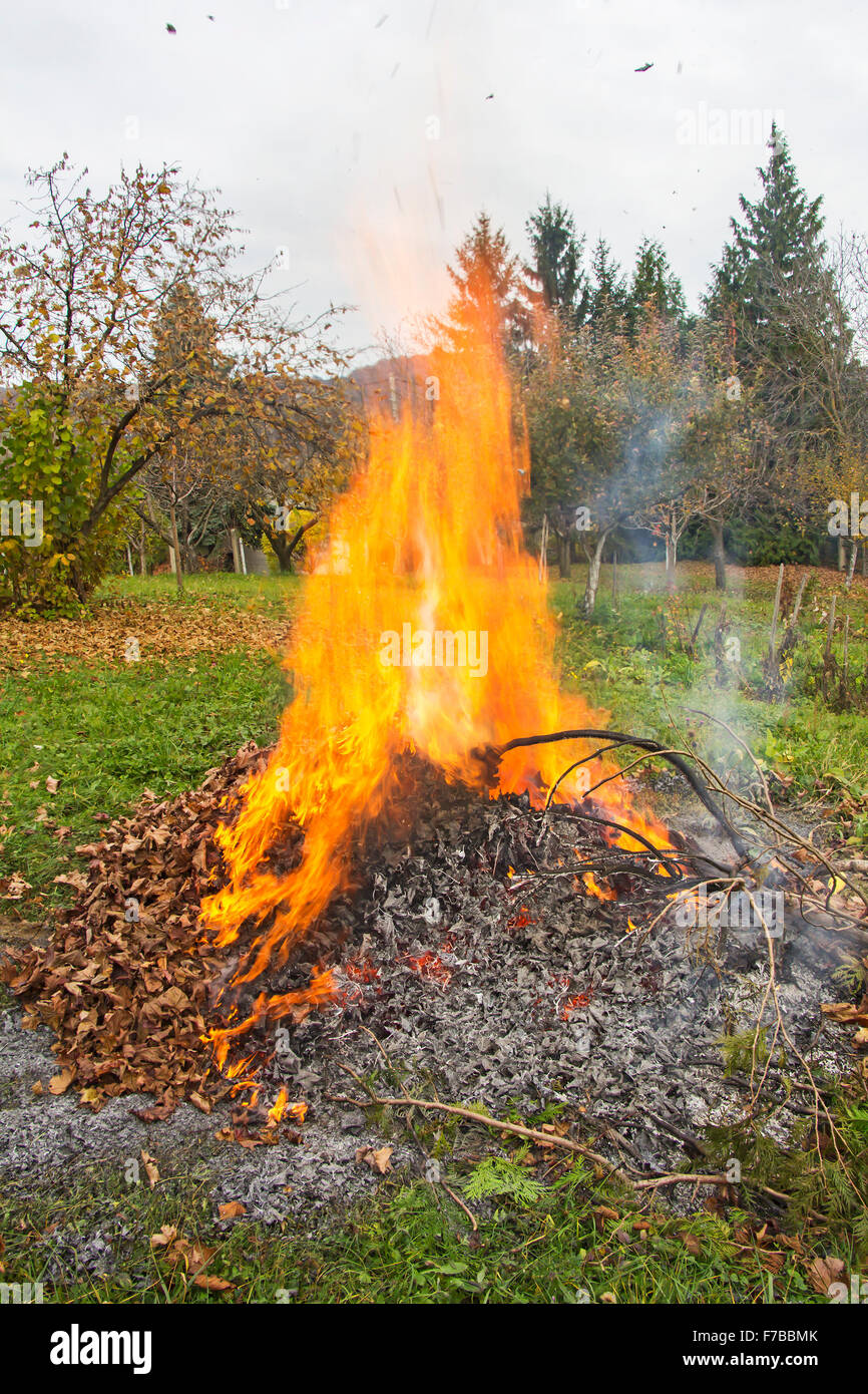 Smoke and fire from during Burning of garden waste Stock Photo Alamy