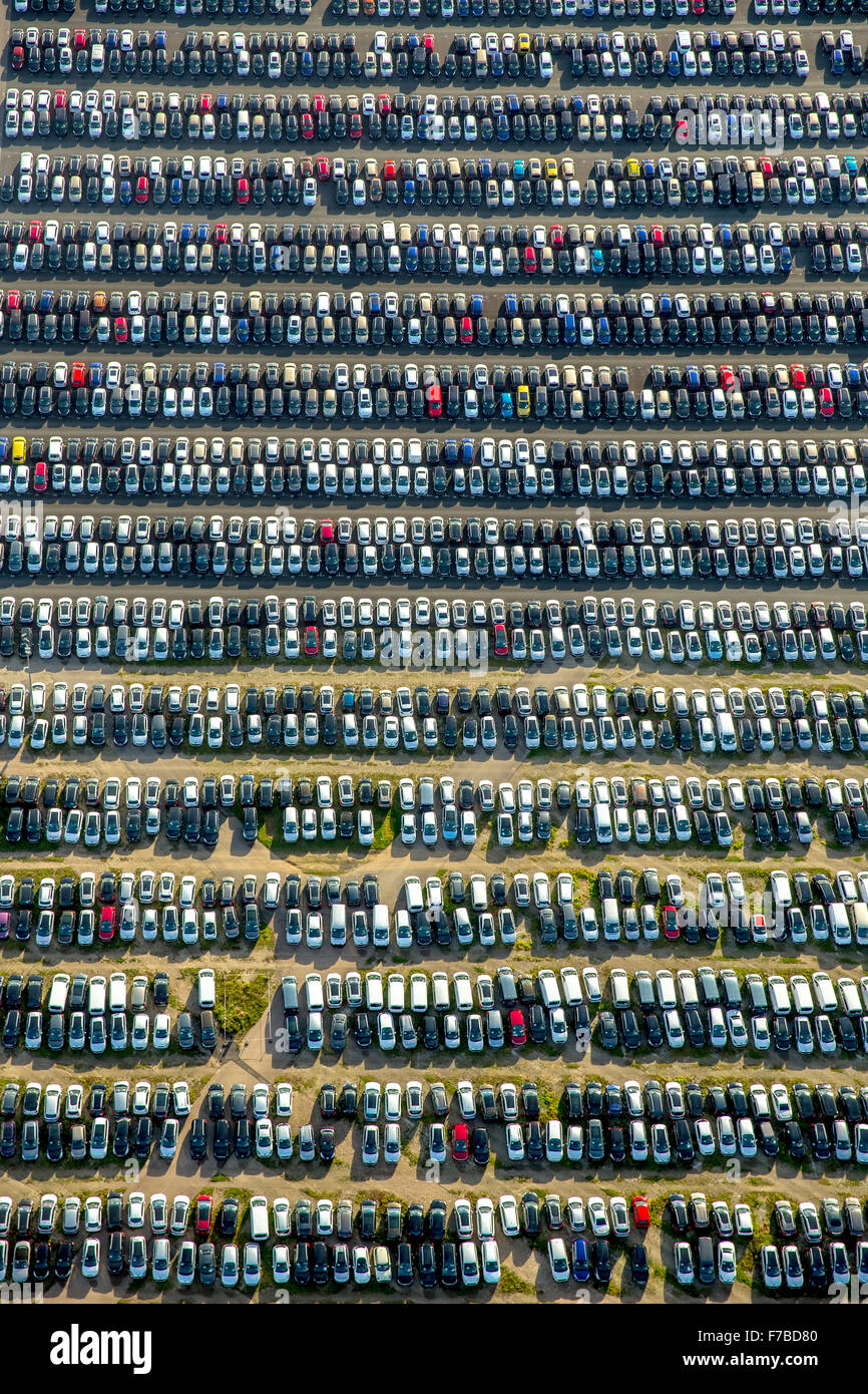 Car Importer, car trade, large parking, car sales, new car, car