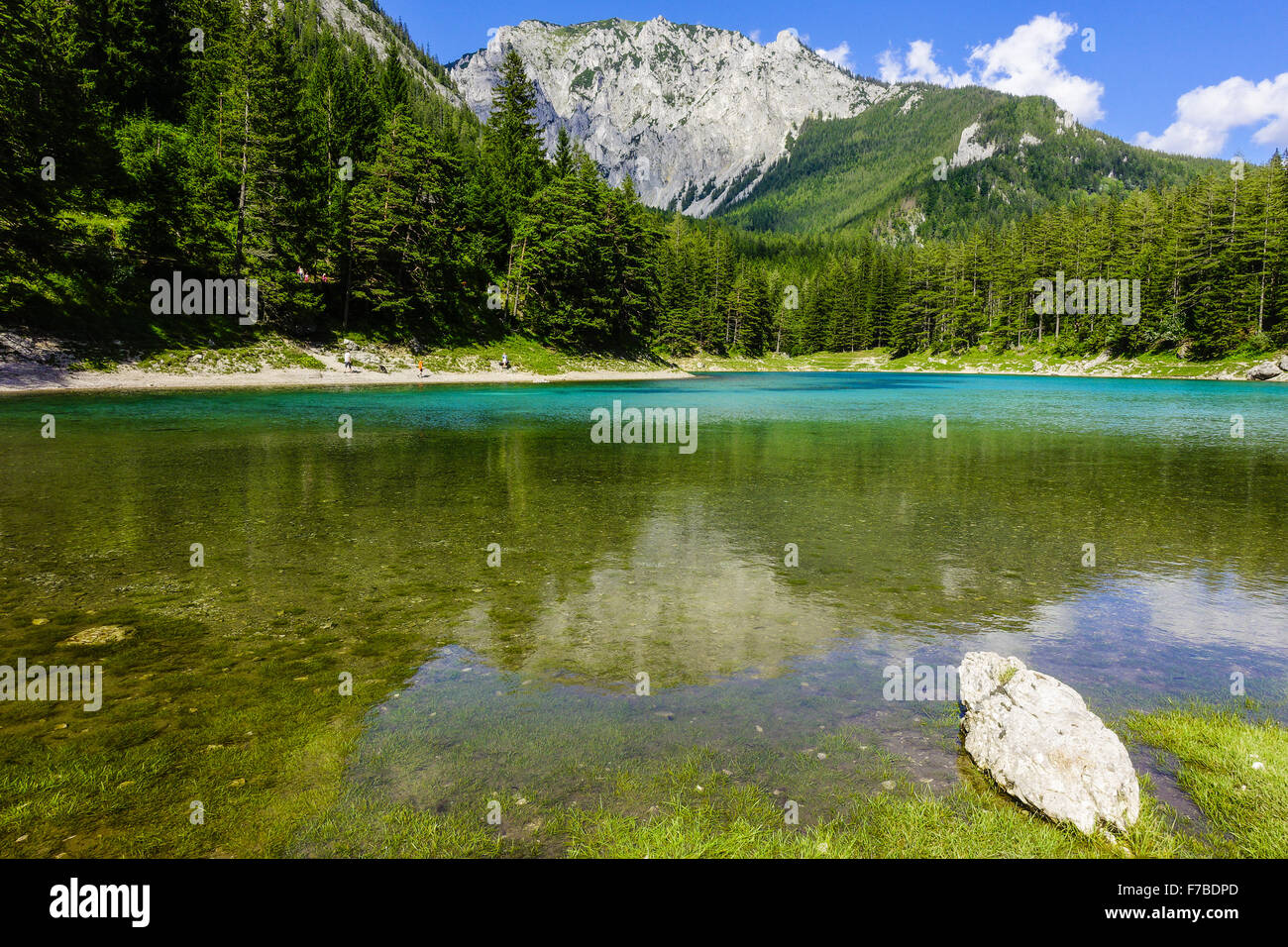 Tragoess, green lake, Gruener See, Austria, Styria Stock Photo
