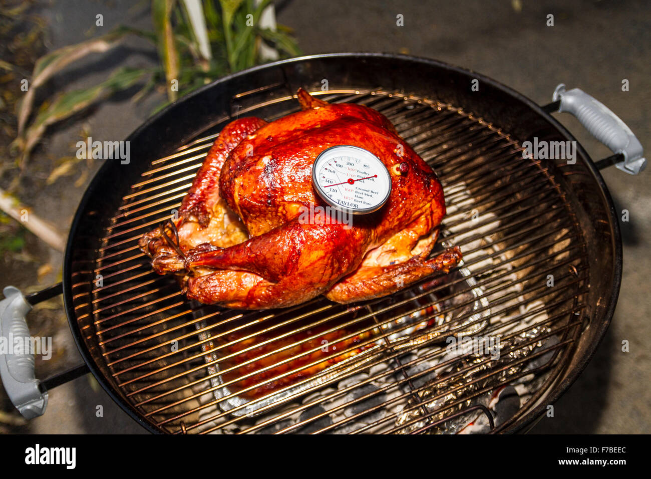 A salt rub brined Thanksgiving Turkey cooked on a er Kettle barbecue