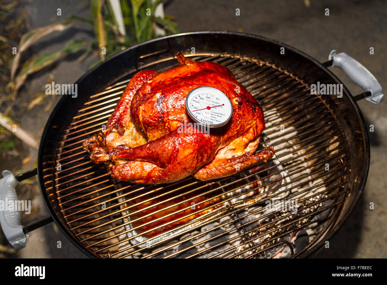 https://c8.alamy.com/comp/F7BEEC/a-salt-rub-brined-thanksgiving-turkey-cooked-on-a-weber-kettle-barbecue-F7BEEC.jpg