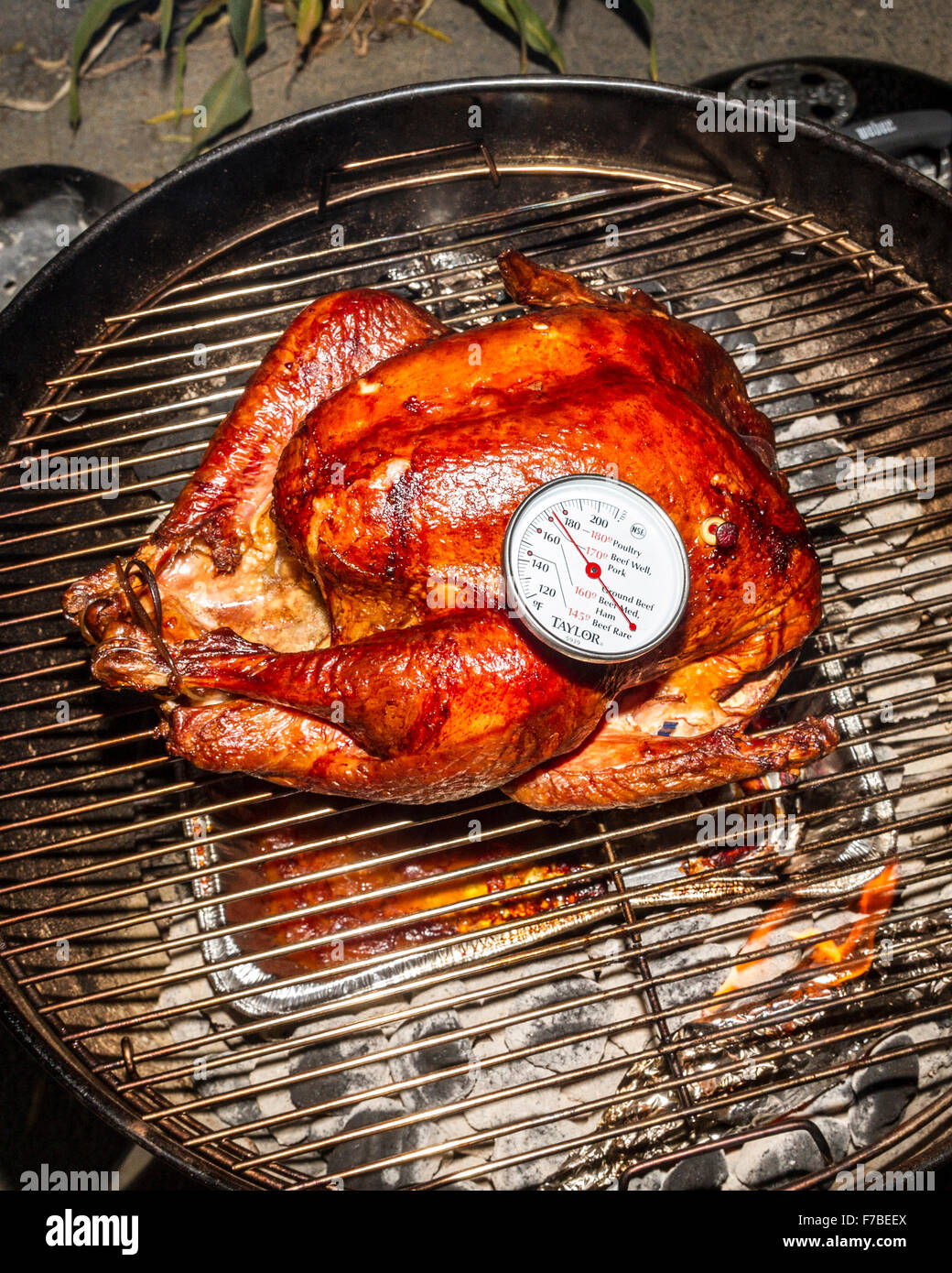 A salt rub brined Thanksgiving Turkey cooked on a Weber Kettle barbecue with meat thermometer indicating doneness Stock Photo