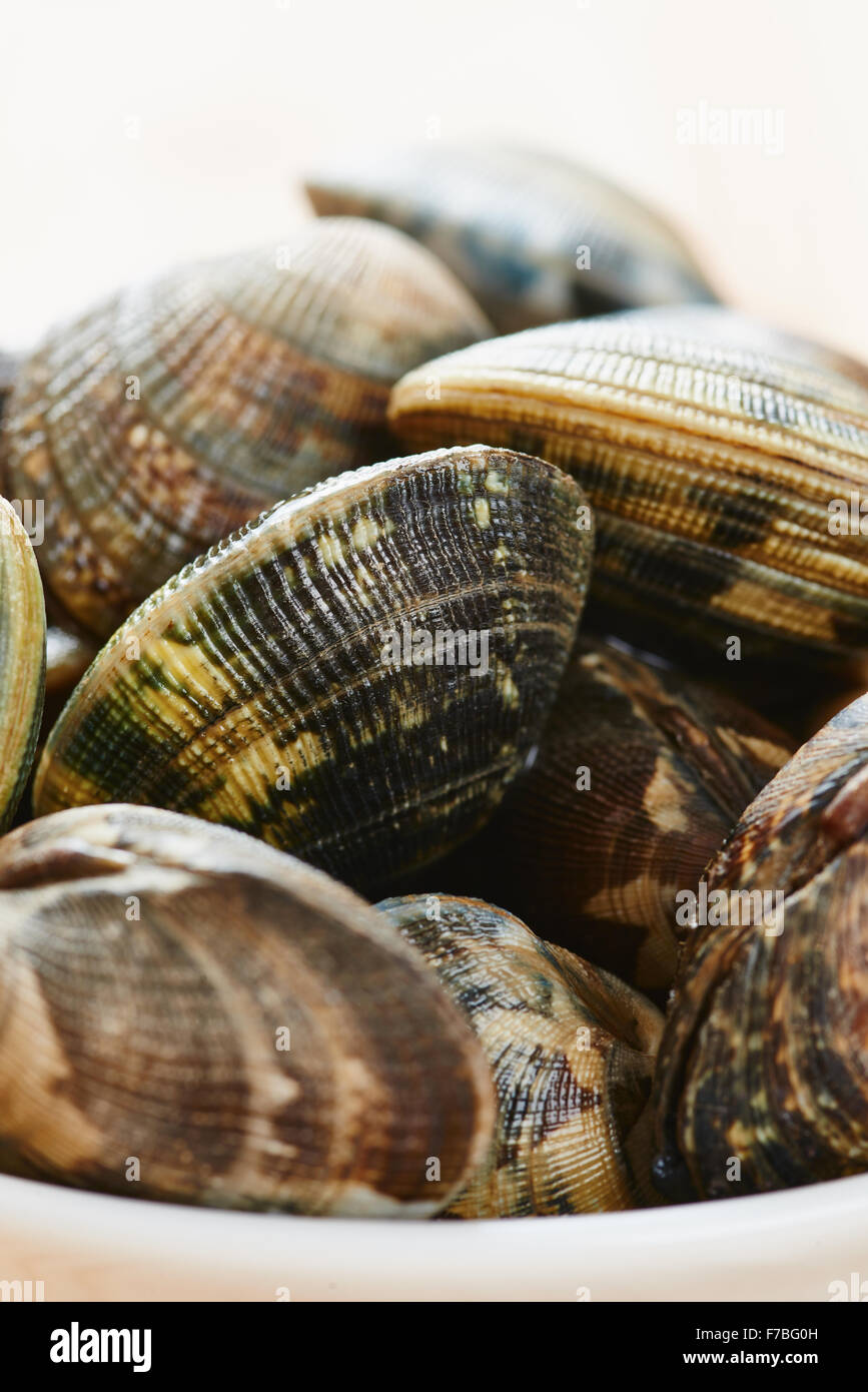 Raw clams close up Stock Photo Alamy