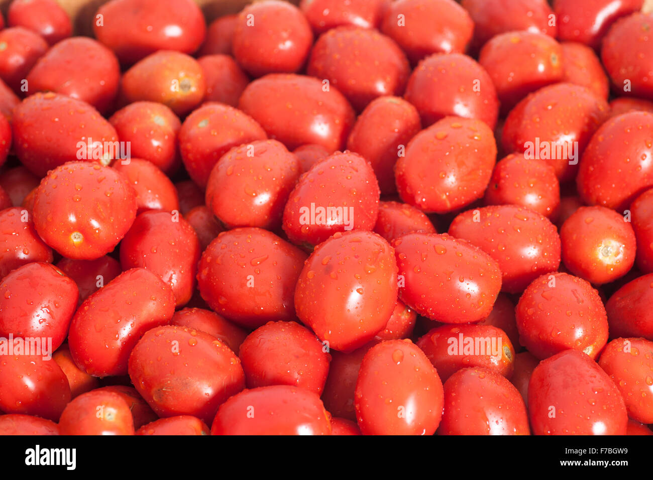 Group of ripe red tomatoes background Stock Photo - Alamy