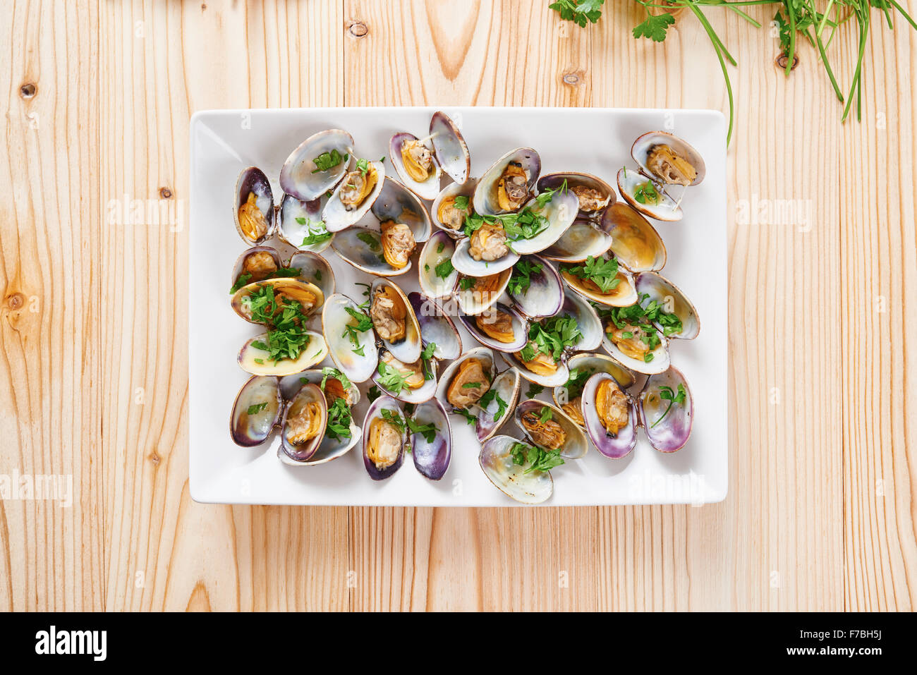Steamed clams on white square plate Stock Photo Alamy
