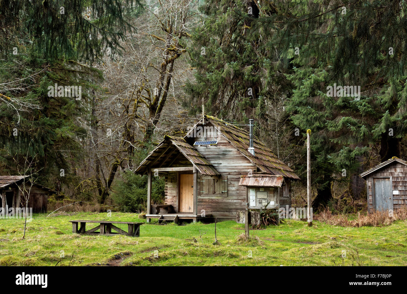 Hoh River Valley Stock Photos Hoh River Valley Stock Images Alamy