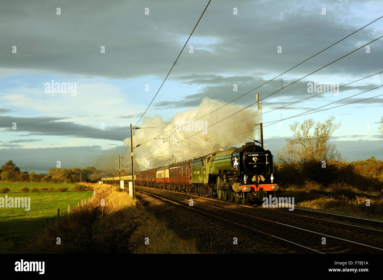A1 Pacific No 60163 Tornado at Ricknal Grange, Newton Aycliffe, England Stock Photo