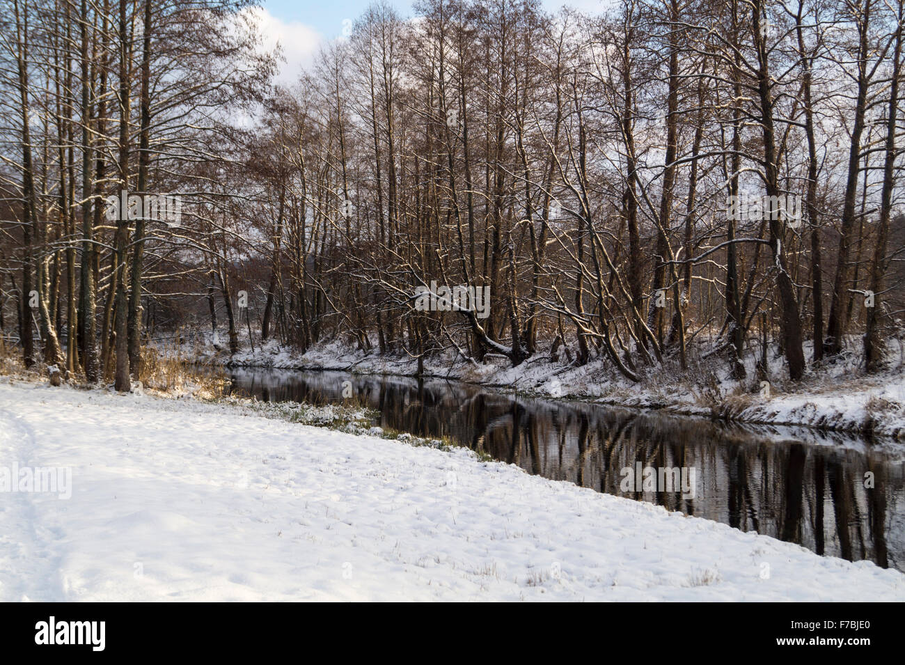 Landscape with small river in winter wood with tree in Russia Stock ...