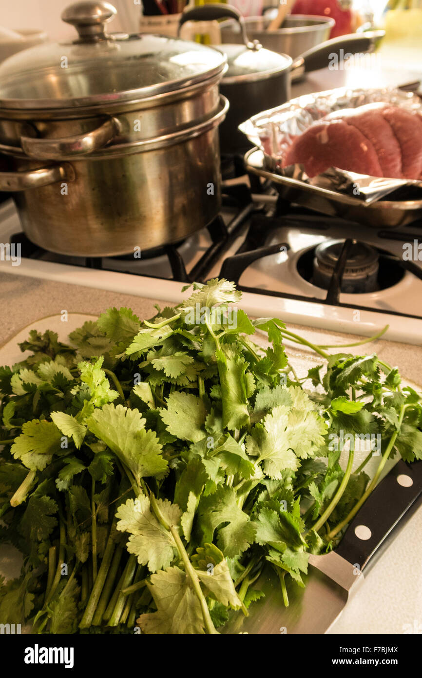 Italian parsley and Tied Raw Eye of Round Beef Roast Ready to Cook in Residential Kitchen, USA