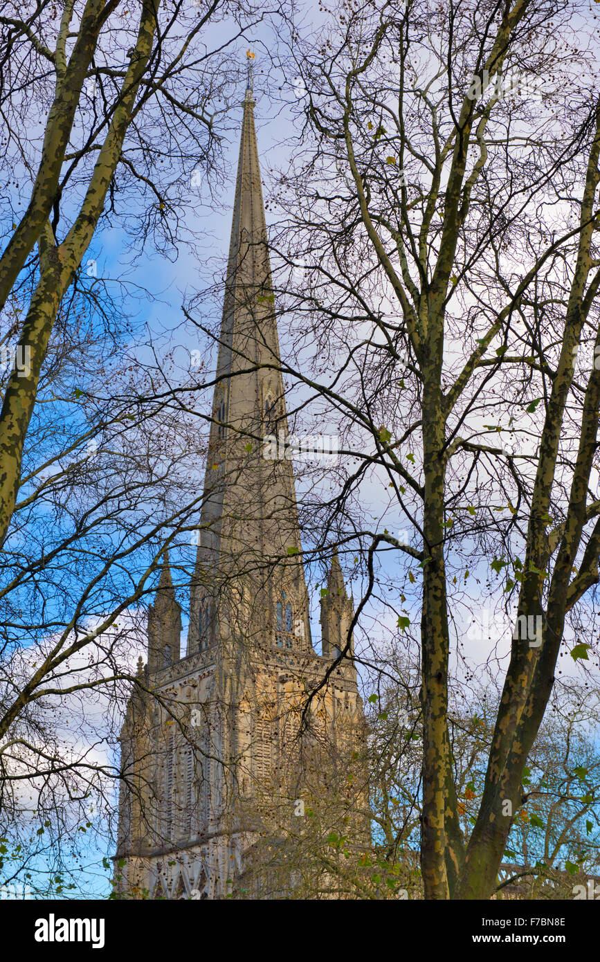 Spire (rebuilt in the 1870s) behind autumn trees of St Mary Redcliffe Parish Church, Bristol, England Stock Photo