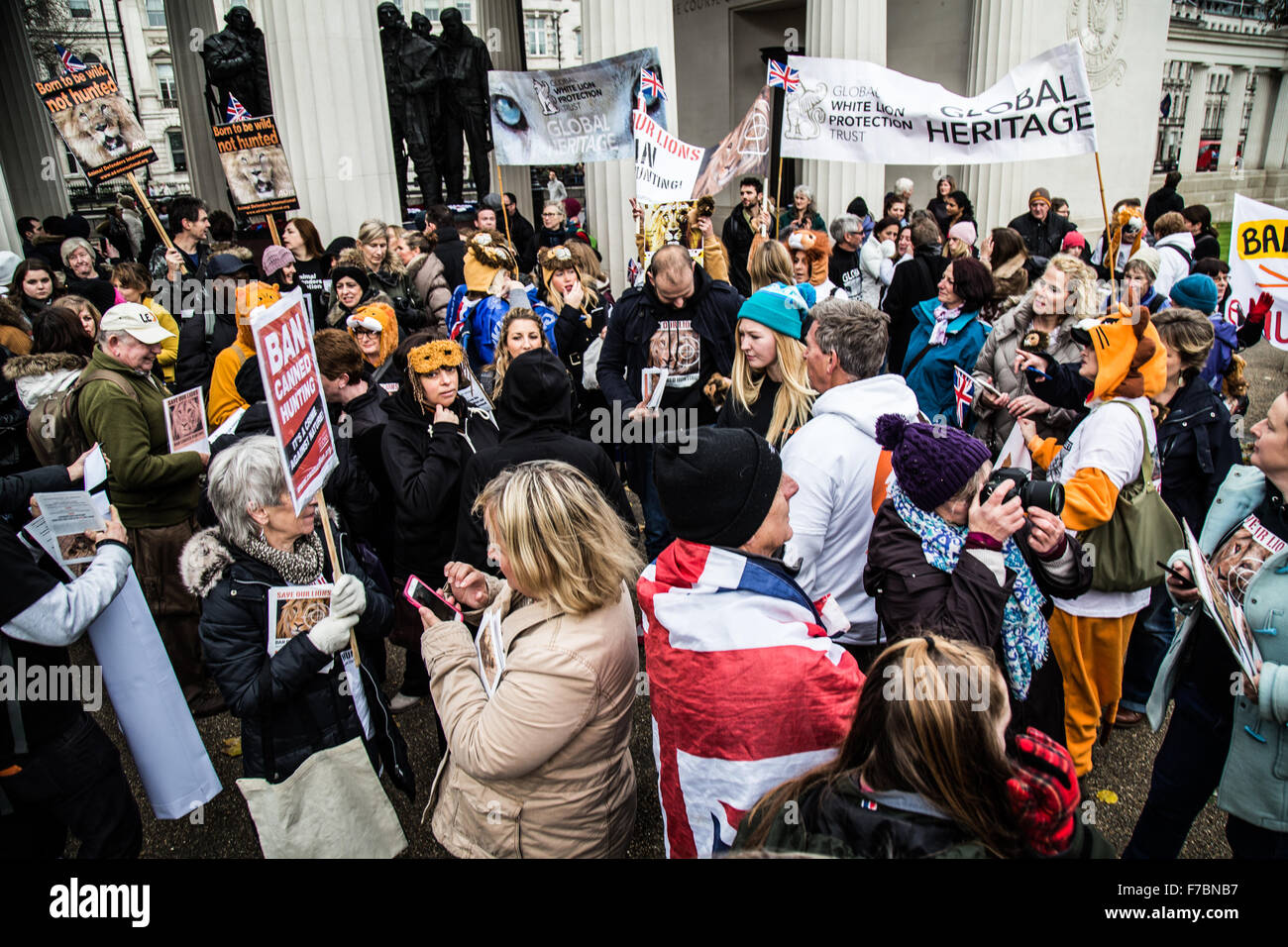 London, UK. 28th November, 2015. protester crowed in March For Lions,  at Bomber Command Memorial. Stock Photo