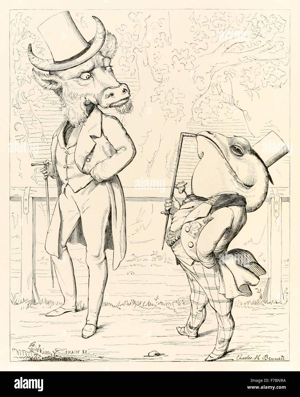 'The Fox and the Ox' from 'The Fables of Aesop and Others Translated Into Human Nature' illustrated by Charles H. Bennett (1828-1867), a frog tries to inflate itself to the size of an ox, but bursts in the attempt. See description for more information. Stock Photo