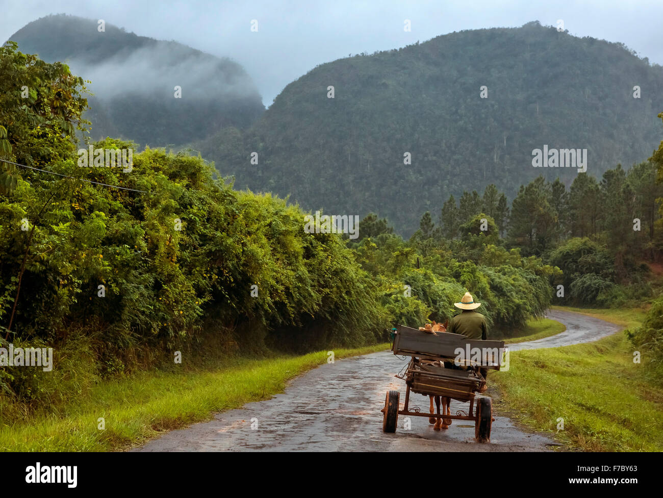 Buggy, horse carts on the lonely road to Vinales in the Vinales Valley, Vinales, Cuba, Pinar del Rio, Cuba, North America Stock Photo