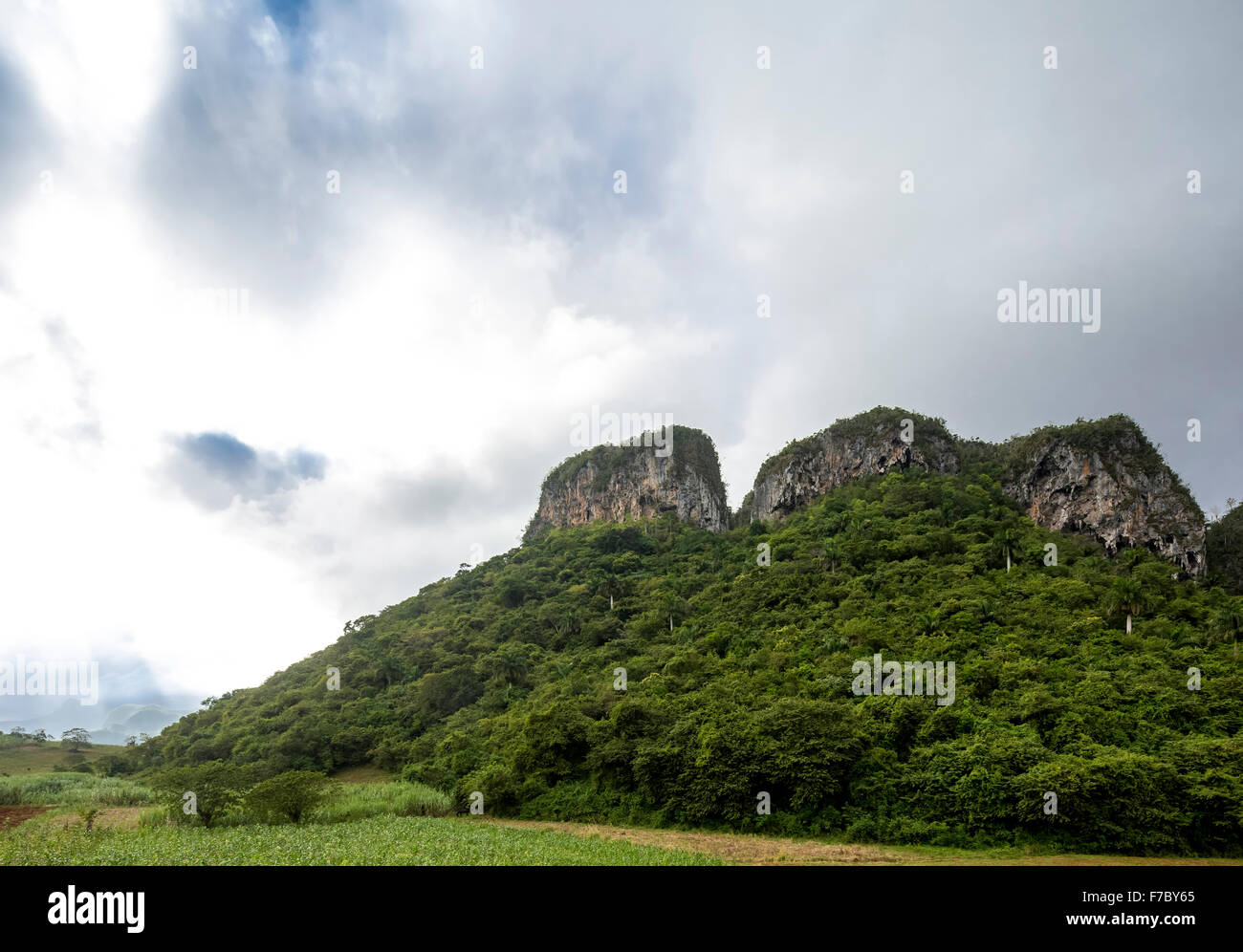 Karst mountain in the Vinales Valley, Vinales, Cuba, Pinar del Rio, Cuba, North America Stock Photo